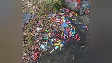 Falkirk councillors back call for nationwide ban on single use vapes