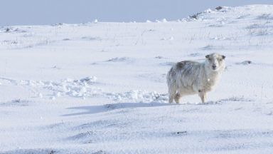 Scotland records coldest March night since 2010 as weather warnings for snow in place until Friday