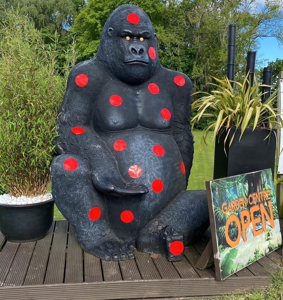 Gary was covered in red spots when monkey pox hit the headlines last year. 