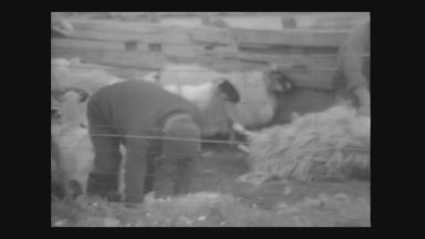 Lost footage of life in the Western Isles found 40 years on