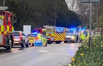 Pensioner pronounced dead after car crashes into grass verge near Balbirnie House Hotel