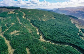 Huge 5,000-acre Glen Shira forest in Argyll goes on sale for offers over £29m