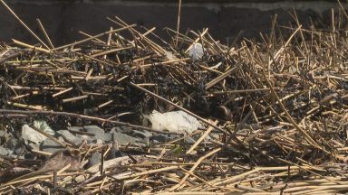 Environmental group declares litter emergency in Scotland