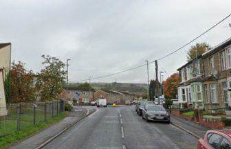 Dog seized after attacking five-month-old baby in Caerphilly, Wales