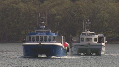 Fishing leaders shoot down new marine protection area plans