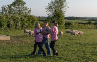 Animal Rising activists snatch lambs from King’s Sandringham estate