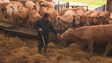 Mental health issues putting farmer’s lives at risk warns union