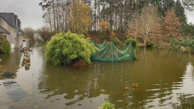 Couple living in ‘nightmare’ after home flooded by sewage again