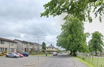 Drivers including pensioner rushed to hospital after two-bus crash in Lockerbie