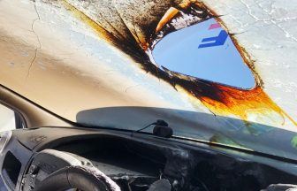 Shocking image shows aftermath after sunglasses on dashboard spark car fire during sunny weather