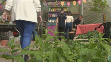 Charity helping reunite siblings separated by foster care