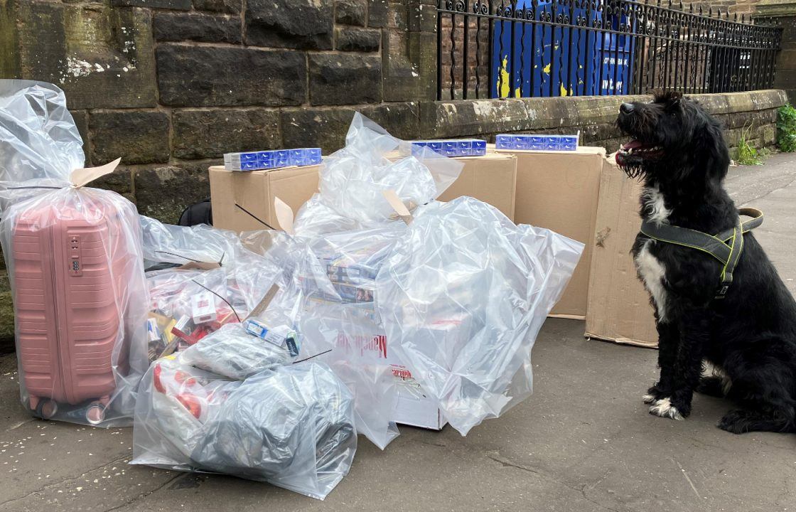 Thousands of illicit cigarettes sniffed out by dog at shops in Govanhill area of Glasgow