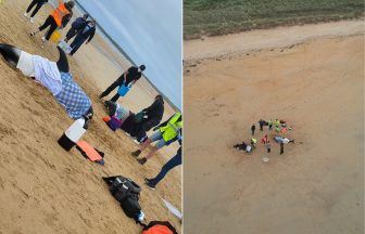 Rescue mission launched as two dolphins stranded on Fraserburgh beach