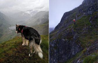 Dog stuck on 600ft Highland cliff edge rescued through GPS tracking device