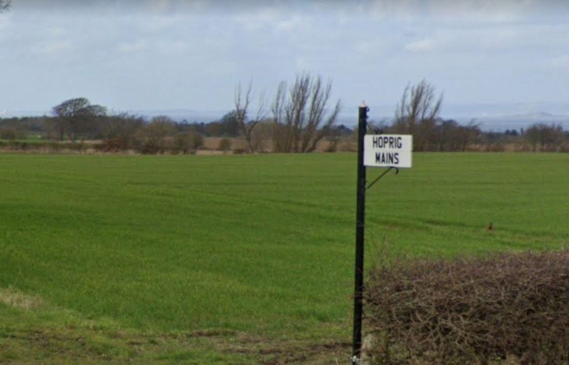 Claims 1,000 acre farm in East Lothian can be run by two people challenged