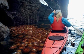 Kayakers paddle through inlet of ‘exceptional jellyfish soup’ near Isle of Barra