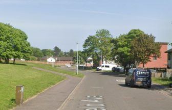 Around £20,000 of damage caused after vandals smash windows at Dundee housing development