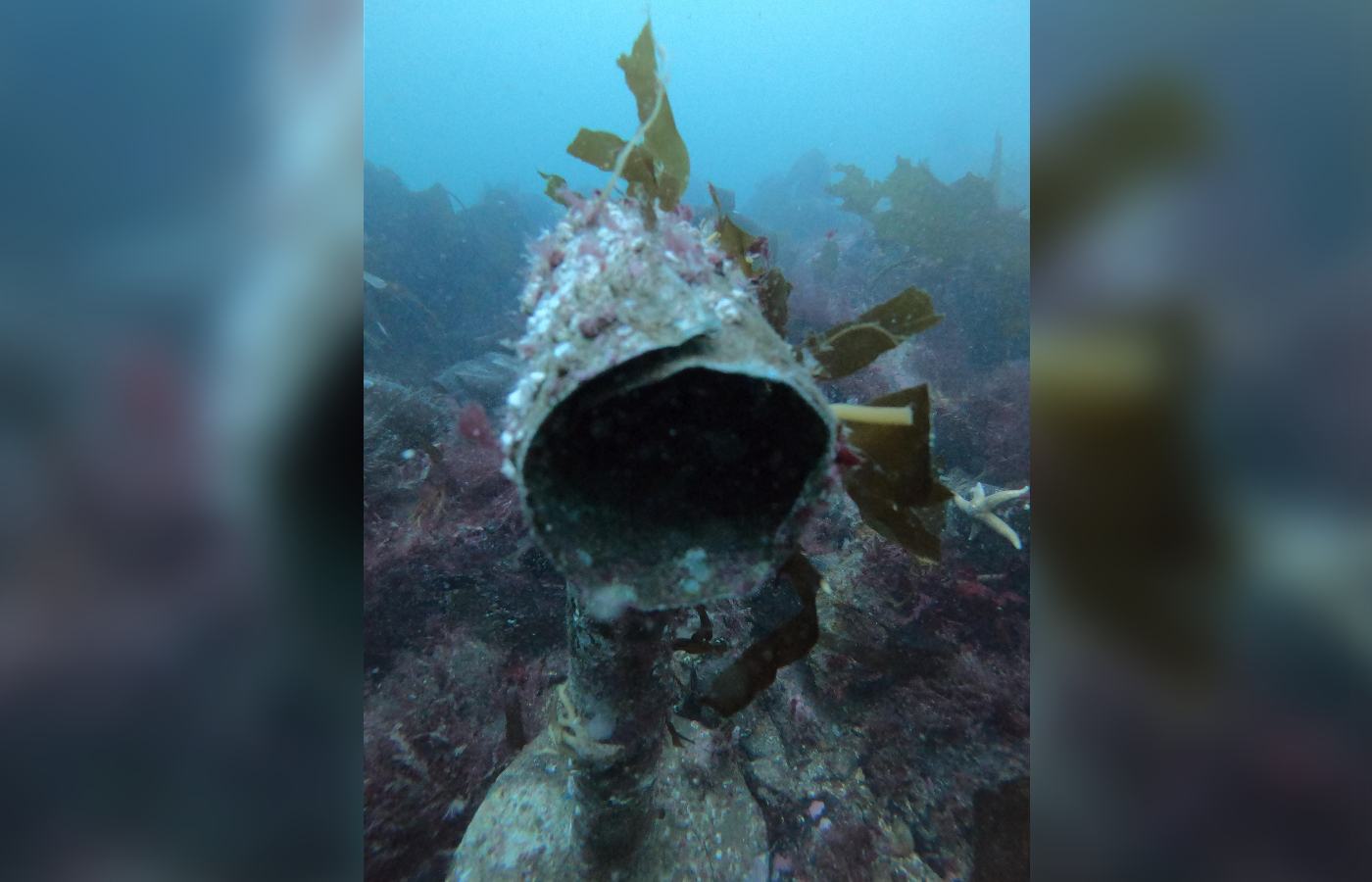 The wreck is located at a depth of around 12 metres. 