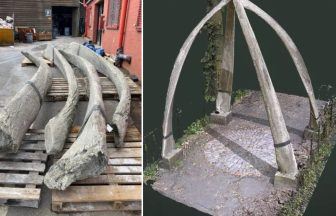 Concerns raised over replacing Edinburgh’s Jawbone Arch whale bones with replicas