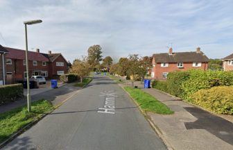 Murder investigation after 10-year-old girl’s body found in Surrey property