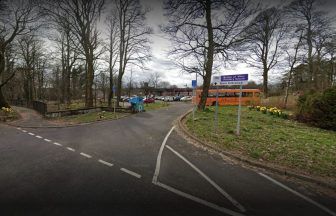 Diseased trees at Bridge of Weir Primary School to be cut down by Renfrewshire Council over safety concerns