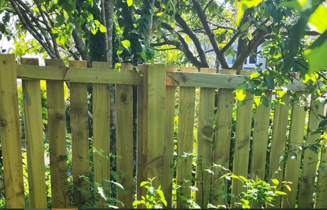 Fence to ‘keep rescue dogs safe’ ordered to be torn down