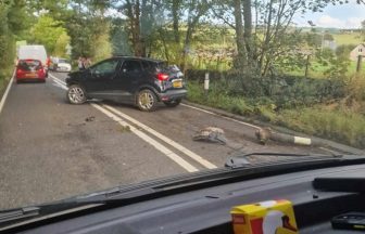 Man arrested after crashing stolen car and fleeing across field in Fife