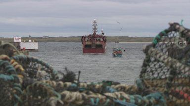 Poll suggests support for fishing ban in 40% of Scottish waters