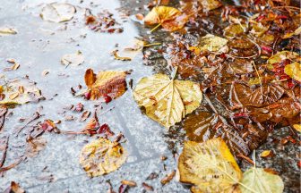 Storm Agnes: Autumn arrives with wild weather ahead