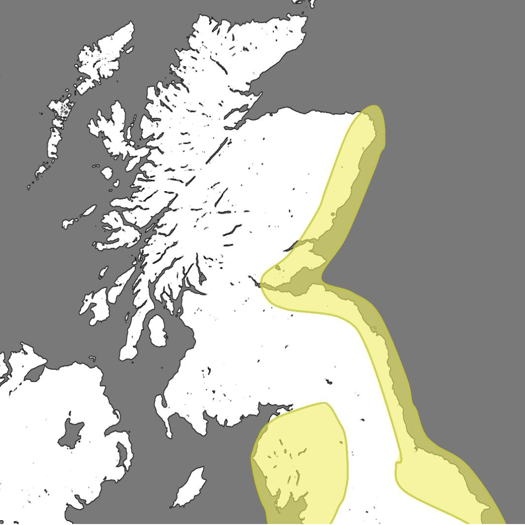 Yellow warning for wind along the east coast.