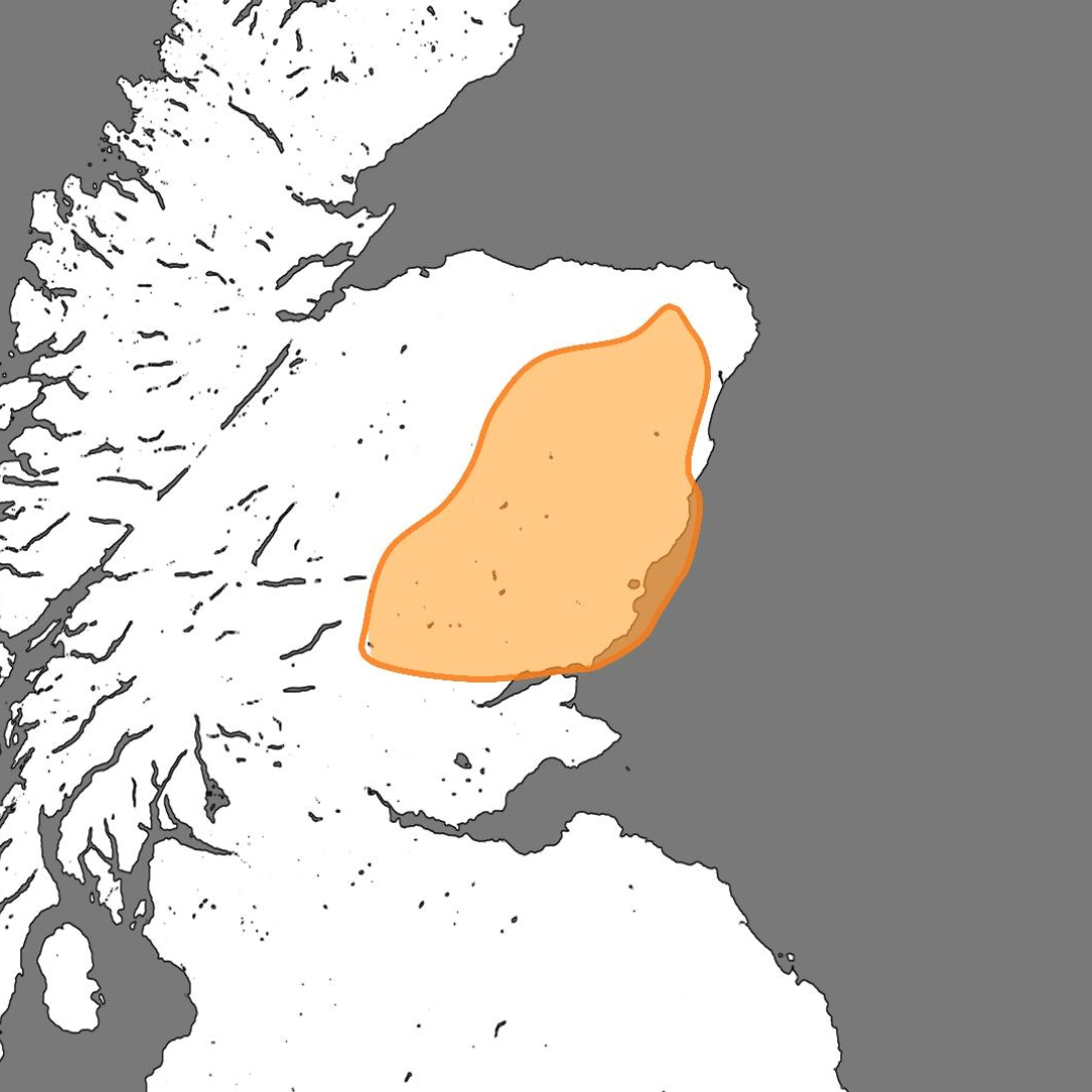 Amber rain warning over Angus, Dundee, Fife, Perth and Kinross, Aberdeen, Aberdeenshire, and Moray.