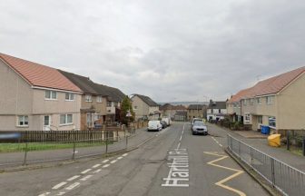 West Lothian pigeon loft deliberately set on fire in early hours as police appeal