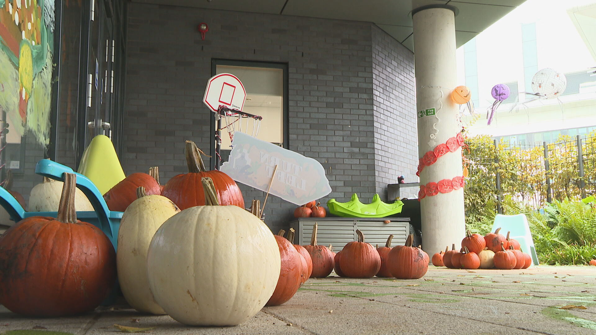 The pumpkin patch at Edinburgh Children's Hospital Charity hub. 