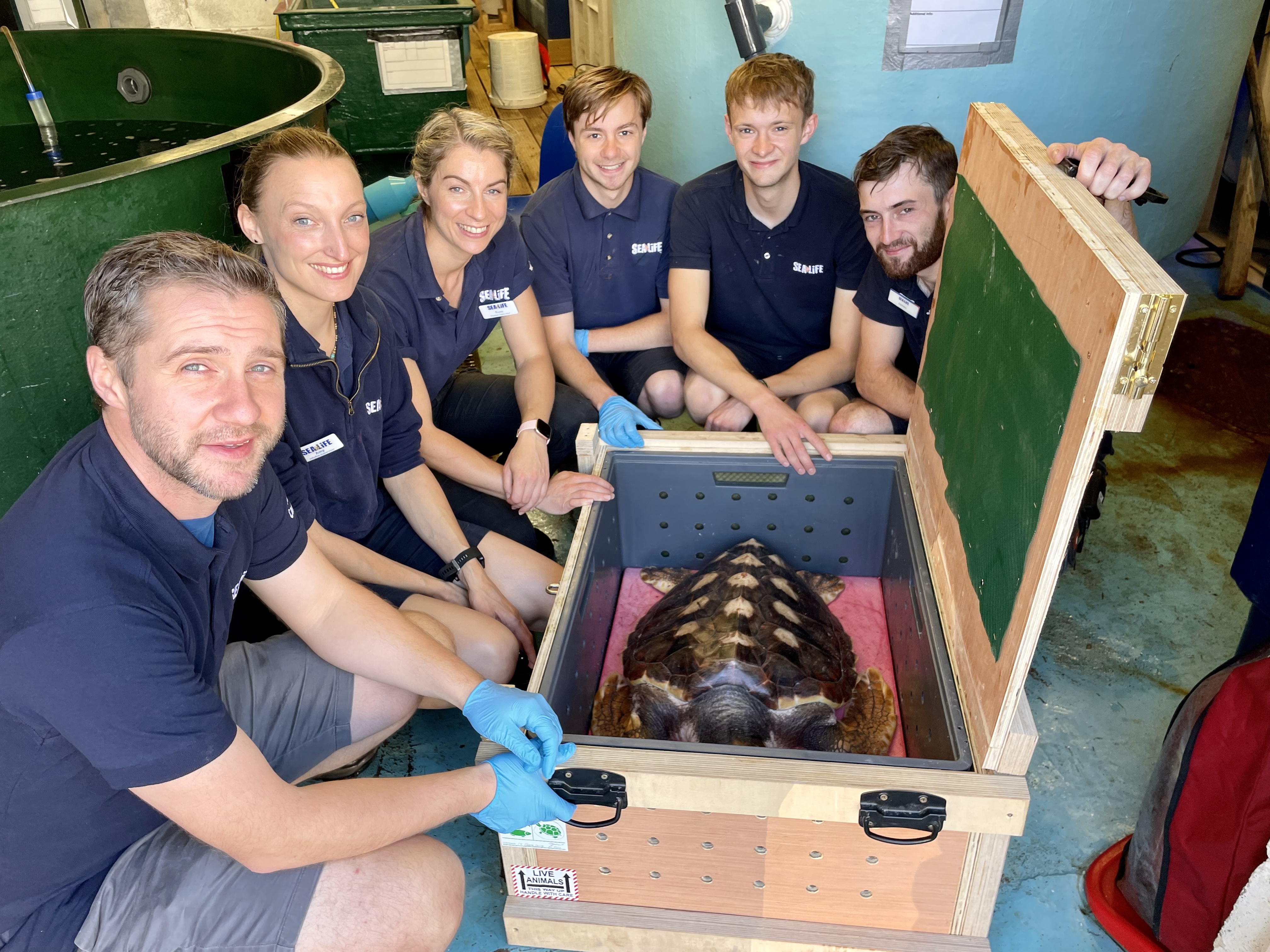 Sea Life Scarborough team saying goodbye to Iona.