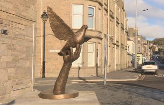 Statue unveiled in Dundee of Winkie the pigeon who saved four airmen during Second World War