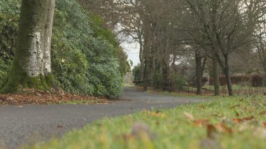 New approach to dealing with storm damage in Angus parks