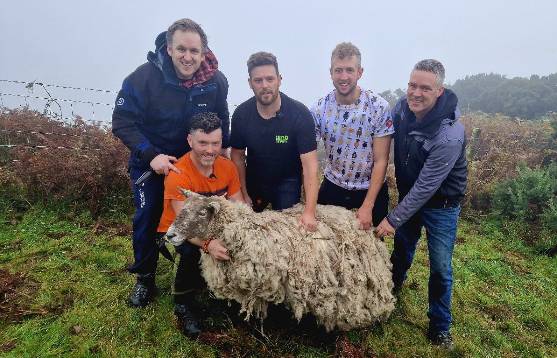 Animal activists protest outside new farm home of ‘Britain’s loneliest sheep’ at Dumfries