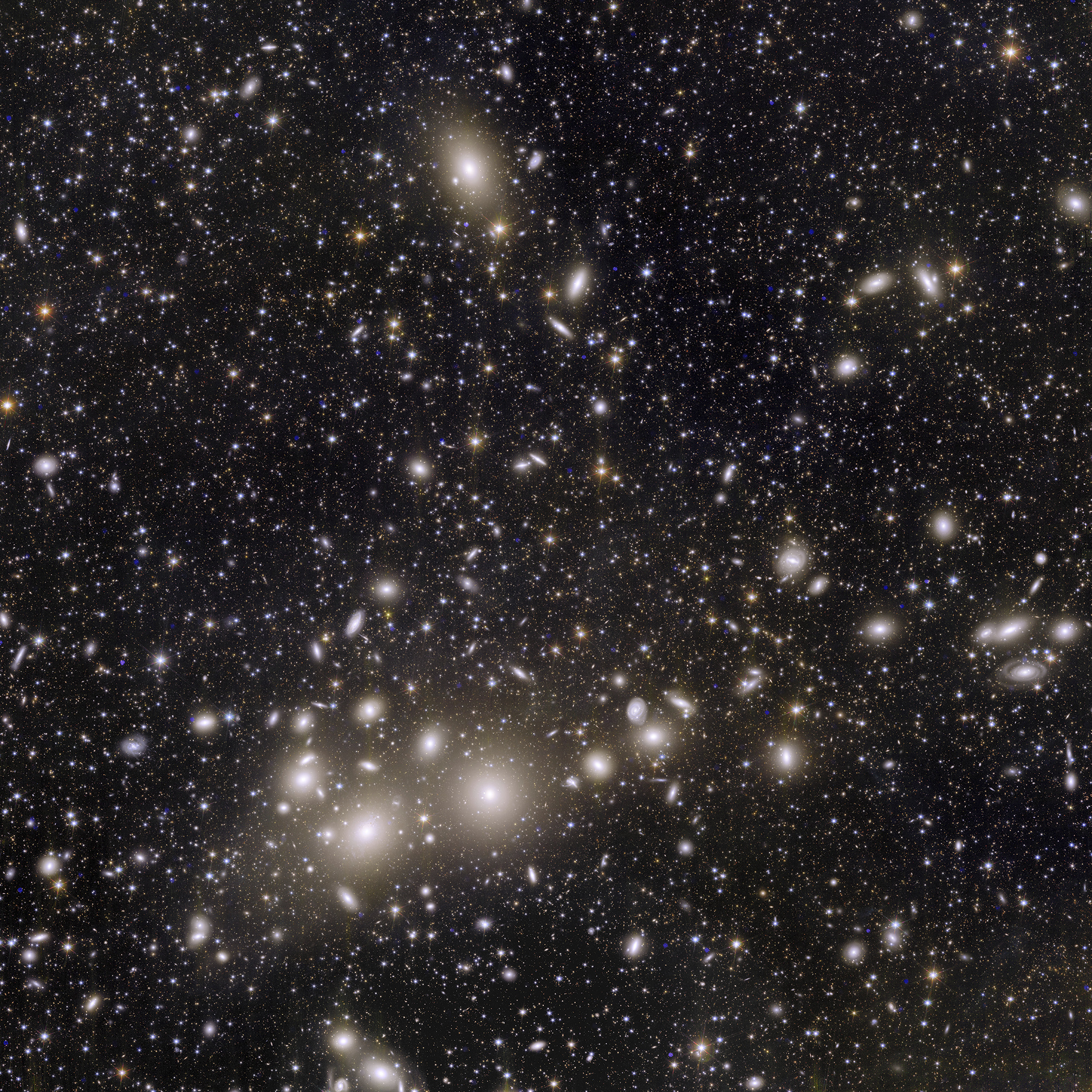 Euclid’s view of 1,000 galaxies belonging to the Perseus Cluster.