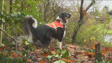 Trossachs search and rescue team receive King’s Award