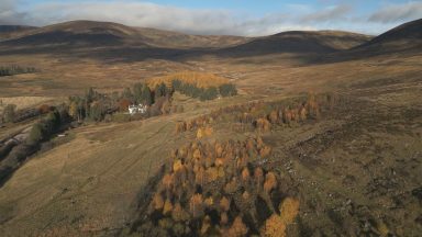 Estate owner says rewilding could help stop storm floods