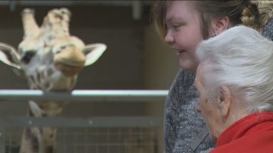 104-year-old woman fulfils dream and feeds giraffes at zoo