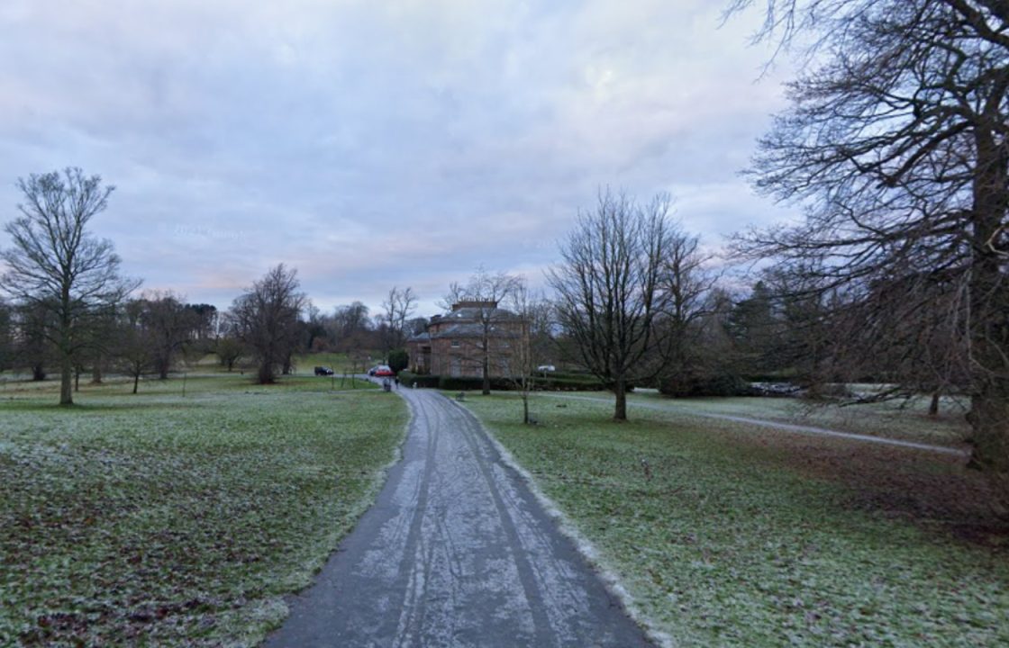 Councillor raises concerns ‘too many trees’ making Glasgow inaccessible for disabled people