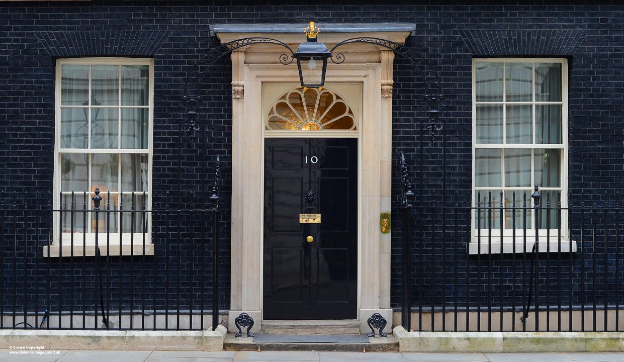 Married couple arrested after allegedly smearing bloody handprints on Downing Street gate