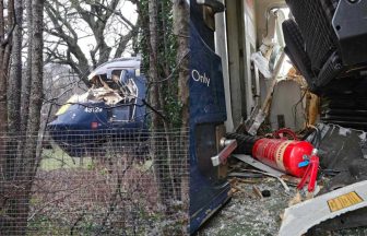 Investigation after driver’s cabin destroyed in 84mph crash with tree amid Storm Gerrit