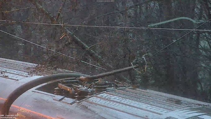 The tree affecting services on a Dumbarton train line. Photo by Network Rail.