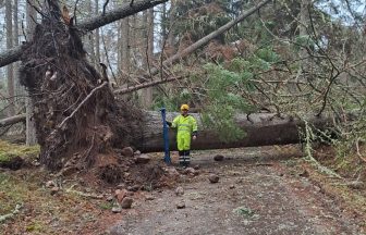 Hundreds of homes in Scotland without power for second night as Storm Gerrit clean up under way