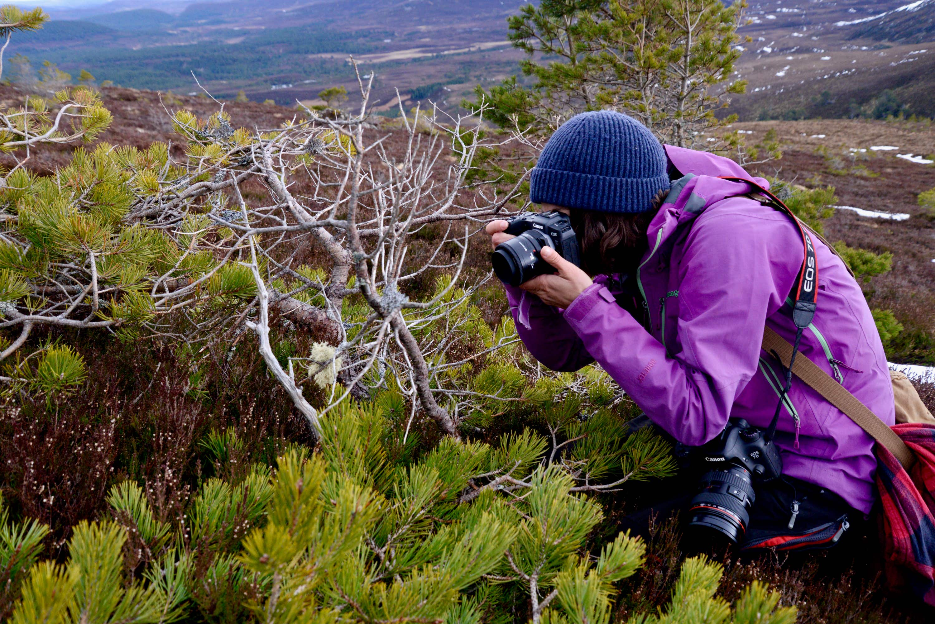 Dr Hobaiter takes photos of lichen under UV light (Nate Dominy/PA) 