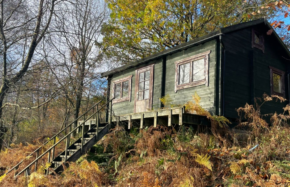 The forest includes a log cabin.