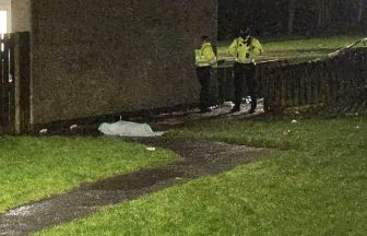 Dog shot dead by Police Scotland after attack leaves Hamilton man fighting for life in Glasgow hospital