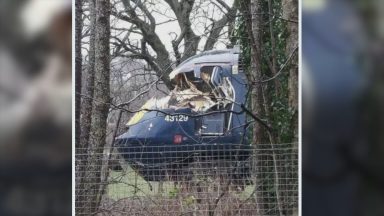 Warning of tree on line made 17 minutes before crash